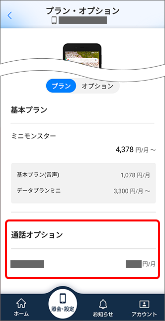 通話オプション